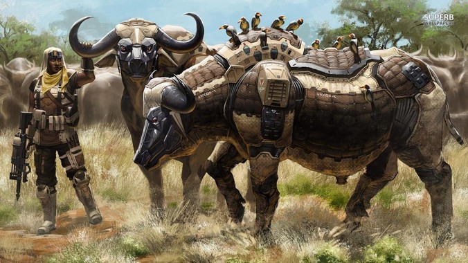 程序员为啥突然会变成这么辣鸡的一个行业？